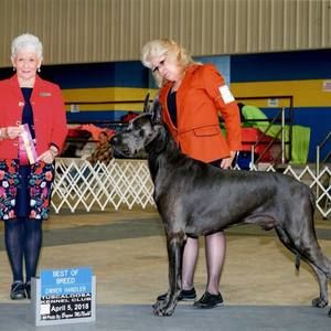 Meet your Posher, Gunnar